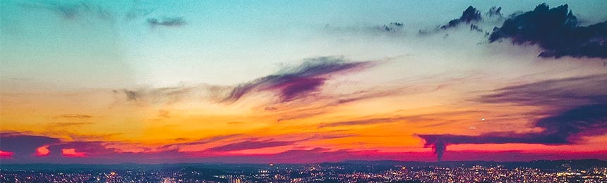 肥城茶虫网_肥城品茶